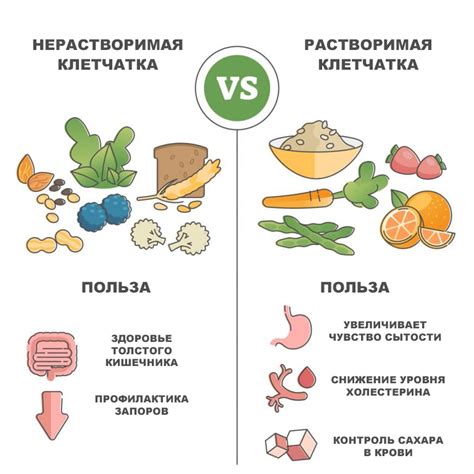 Прекрасный источник клетчатки для нормализации пищеварения