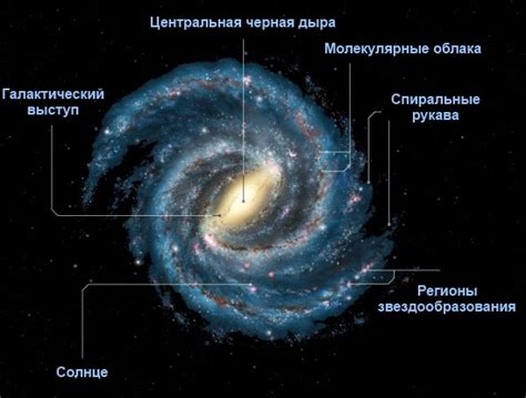 Приготовление млечного пути в блендере