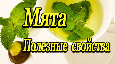 Приготовление чая с мятой