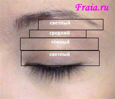 Придайте панде объём и детали с помощью тёмных теней