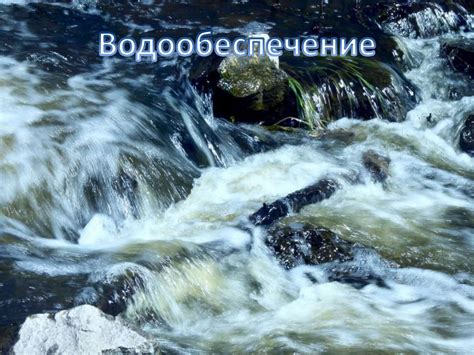 Признаки наличия воды в лесу