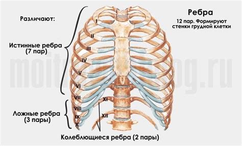 Признаки перелома ребра