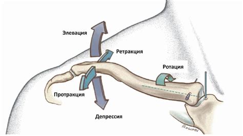 Прикрепление осей