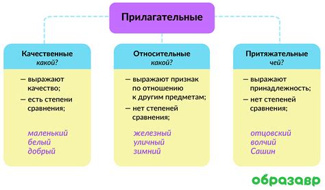 Прилагательные