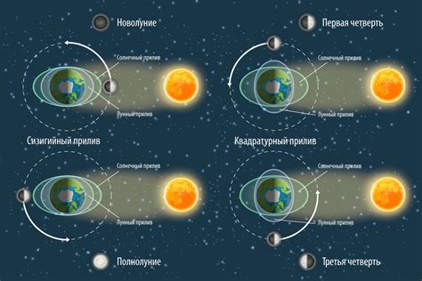 Приливы и отливы: как они возникают?