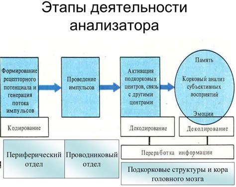 Применение адаптивного кодирования CABAC в современных системах