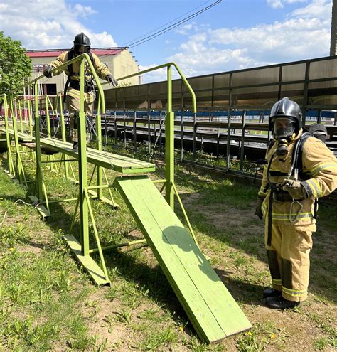 Применение барьерных препятствий для слизней