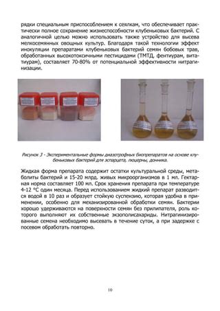 Применение биопрепаратов для удаления налета с шифера