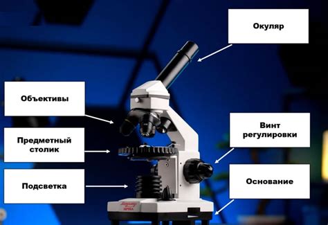 Применение в различных типах микроскопов