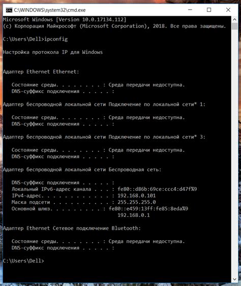 Применение команды "ipconfig" в Windows