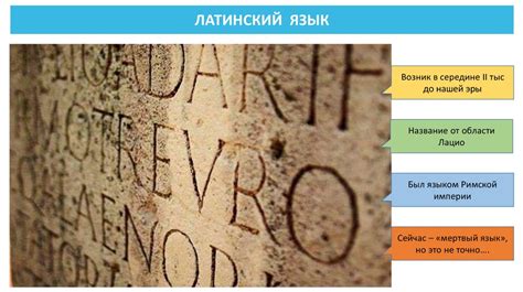 Применение латинского алфавита в современной жизни