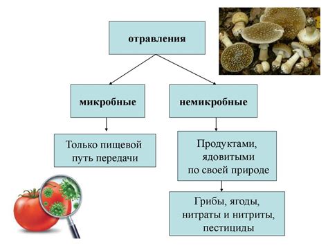 Применение микроорганизмов