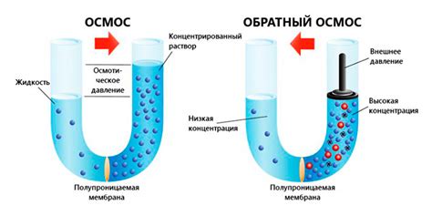 Применение обратного осмоса в различных отраслях