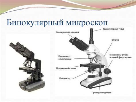 Применение оптического микроскопа