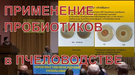 Применение пробиотиков