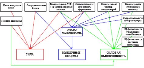 Применение тренировочных методик