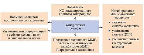 Применение хондроитина сульфата в профилактике суставных заболеваний