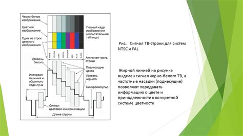 Применение черно-белого слоя в рисунке