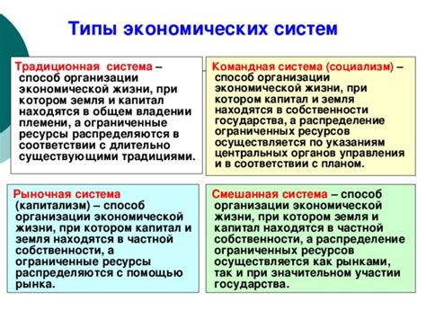 Применение экономических знаний в реальной жизни