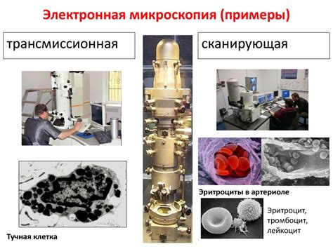 Применение электронных микроскопов в научных исследованиях