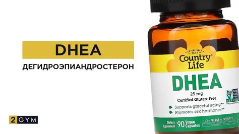 Применение DHEA для женщин