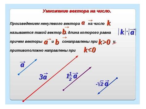 Примеры вычисления произведения вектора на число