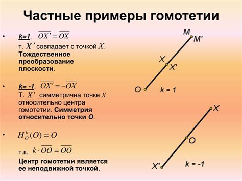 Примеры гомотетии и их анализ