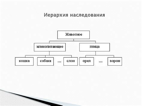 Примеры иерархии законов