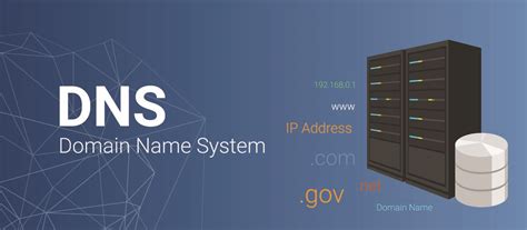 Примеры и руководство по настройке DNS адреса