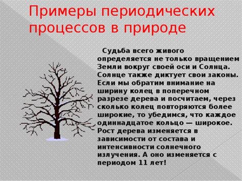 Примеры периодических колебаний в природе