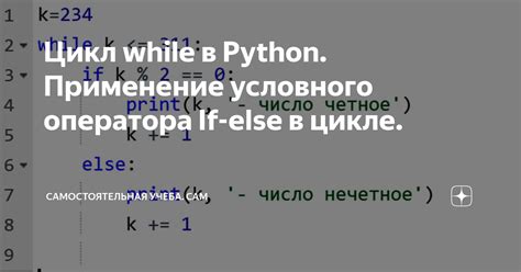 Примеры применения условного оператора if в Python