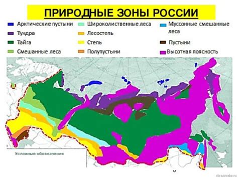 Примеры природных зон