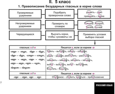 Примеры проверяемых орфограмм