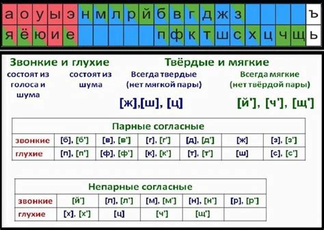 Примеры твердых звуков