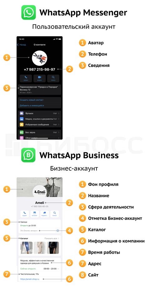 Примеры успешного использования бизнес чата в WhatsApp