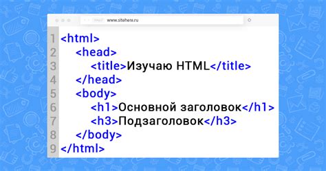 Примеры форм в HTML