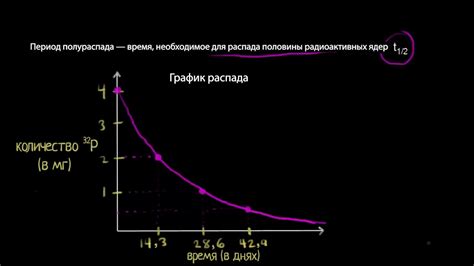 Пример расчета периода полураспада на основе графика