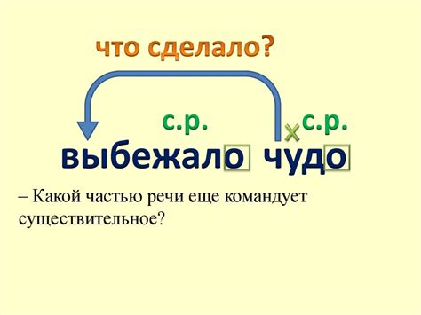 Пример 3: "Делегировал" - глагол в прошедшем времени, мужской род