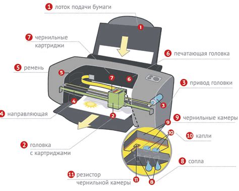 Принтеры и их основная функция