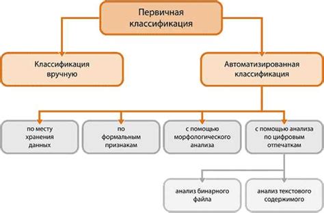 Принципы классификации Самостоятельных классификационных единиц СКЭ