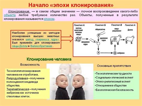 Принципы клонирования организмов