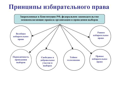 Принципы организации информации в мозге