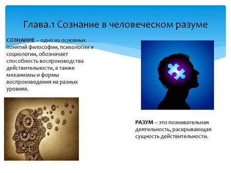 Принципы понимания сознания в психологии