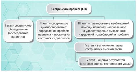 Принципы работы и организация процесса в кафе: