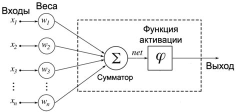 Принципы работы нейросети и ее области применения