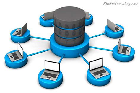 Принципы работы сетевой базы данных