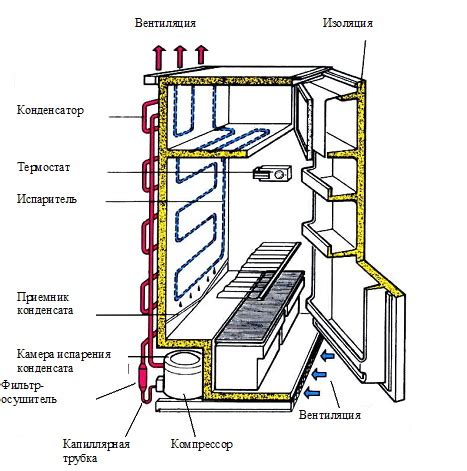 Принципы работы холодильной двухкамерной витрины