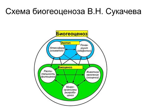 Принципы управления в естественных экосистемах