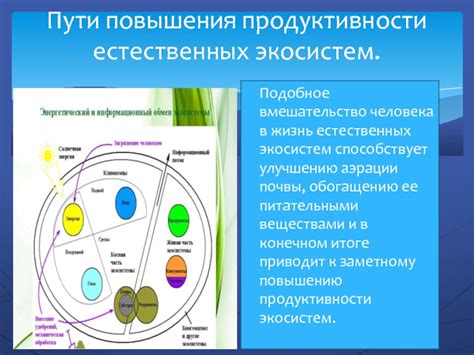 Принципы управления в искусственных экосистемах