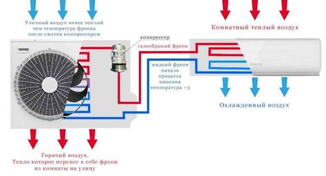 Принцип действия и преимущества обработки кондиционера специальным средством Anti fungus